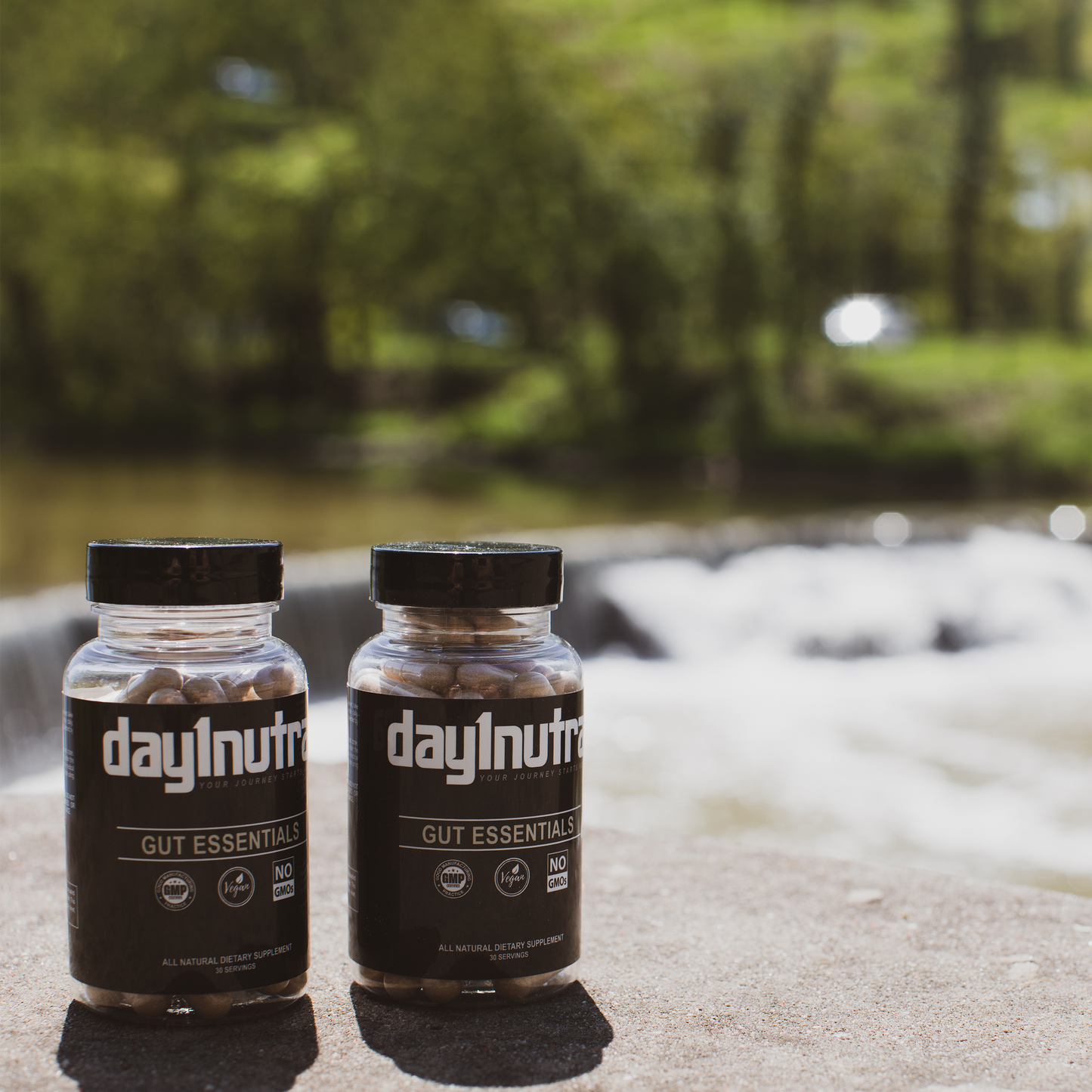 day1nutra Gut Essentials