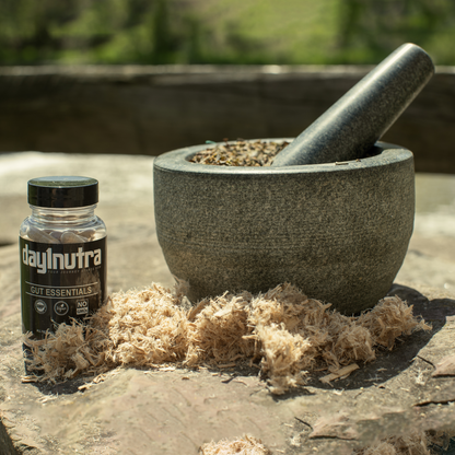 day1nutra Gut Essentials